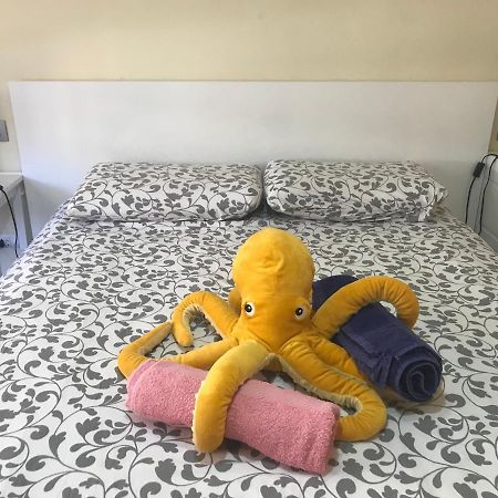 Medano Octopus Apartment El Médano Eksteriør bilde